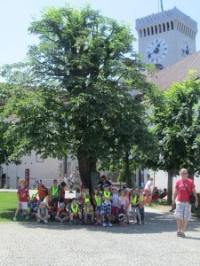 NA LJUBLJANSKEM GRADU